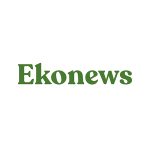 Ekonews
